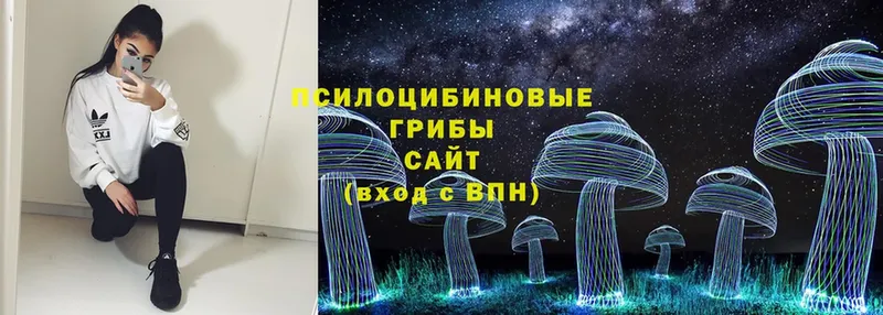 продажа наркотиков  Чусовой  Галлюциногенные грибы Psilocybe 